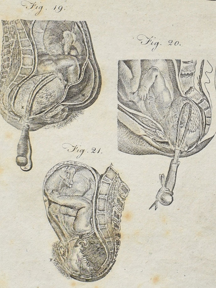 Obstetrics & Gynecology